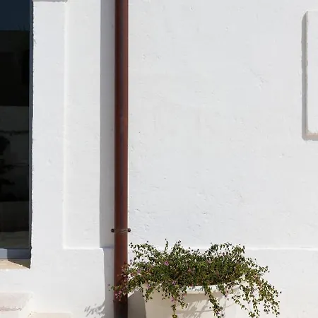 Masseria Limonaia & * Fasano